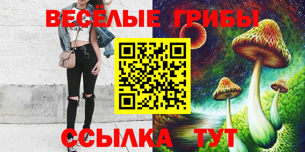 Тимашёвск  Псилоцибиновые грибы MAGIC MUSHROOMS  Вход с VPN 